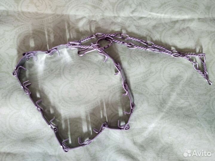 Строгий ошейник для собак