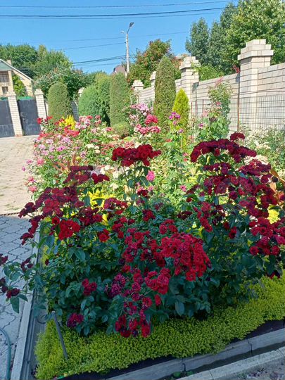 Таунхаус 270 м² на участке 5 сот.