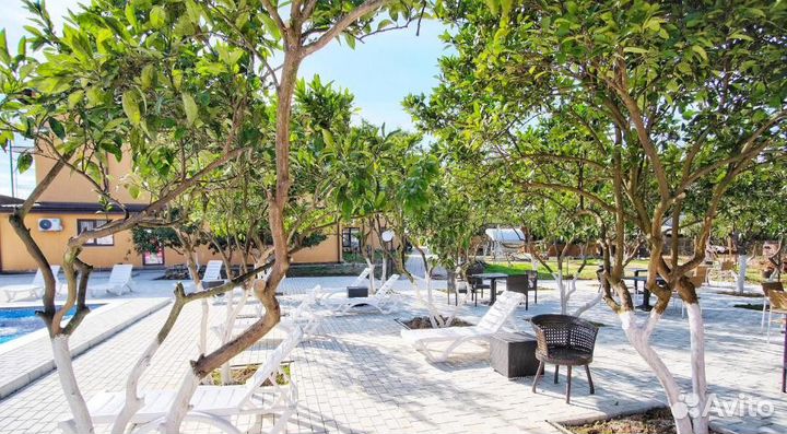 Тур в Абхазию с трех-разовым питанием