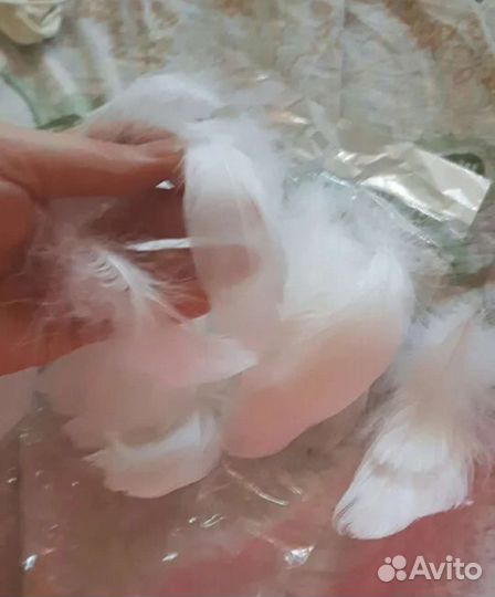 Гусиные перья для рукоделия