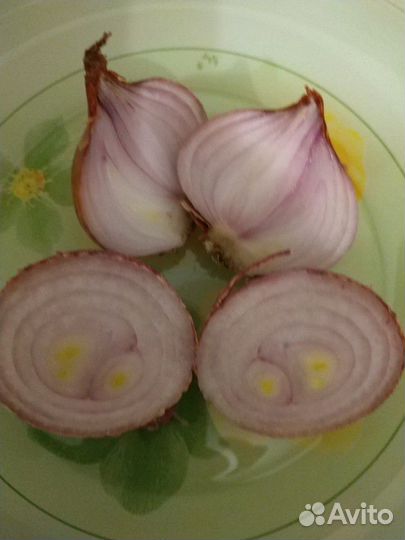 Лук семейный Чапаевский