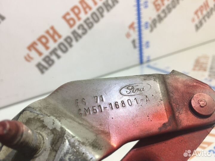 Форд Фокус Петля капота Лев