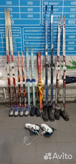 Горные лыжи от 110 до 180 см