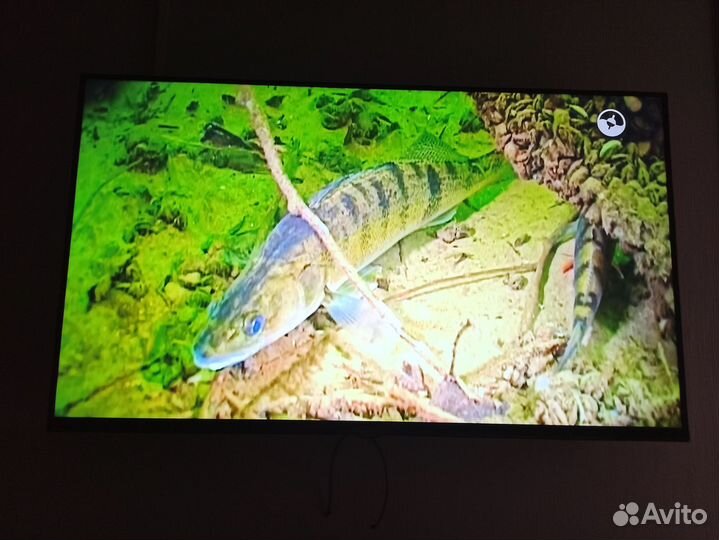 Телевизор samsung smart tv 43