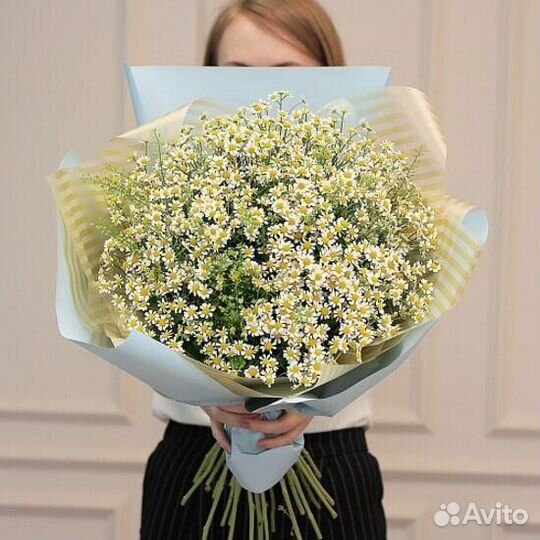 Букет ромашки