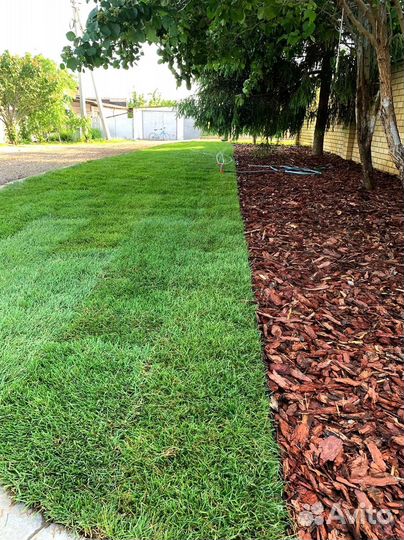 Укладка рулонных газонов ключ