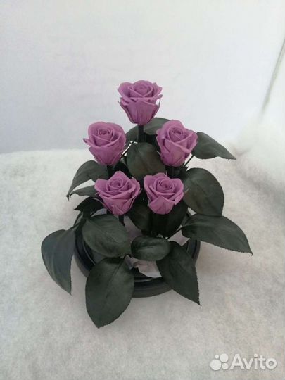 Роза в колбе оптом и в розницу