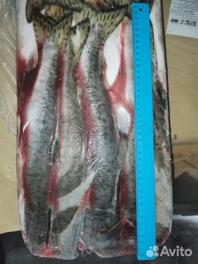 Рыба свежемороженая с доставкой на дом