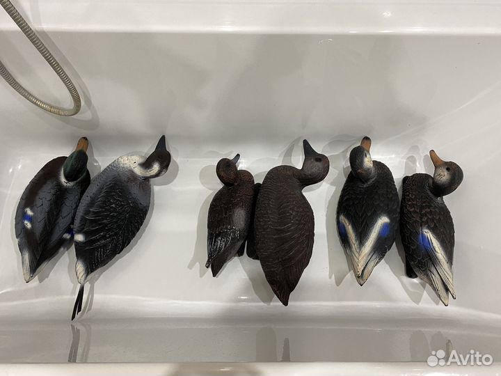 Утки подсадные для охоты