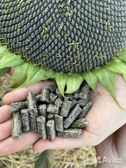 Шрот из семян подсолнечника