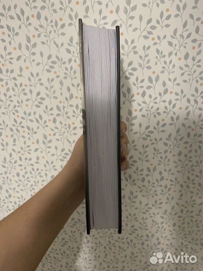 Книга каштановый человечек