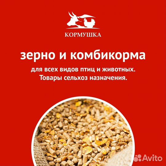 Кормушка прямоугольная для птицы (на 16голов) 3кг