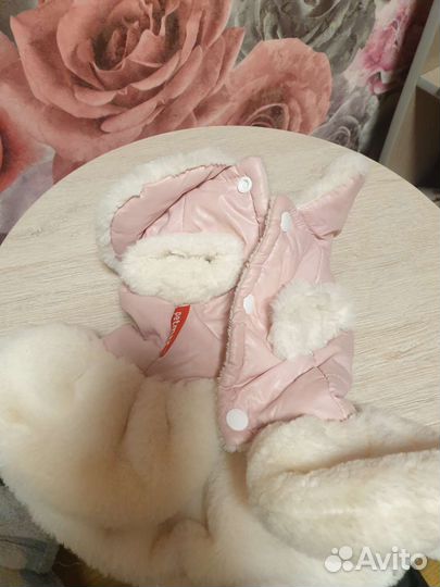 Одежда для собак