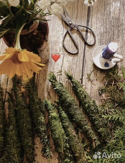 Музыка ветра