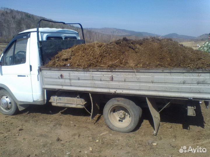 Перегной Чернозём