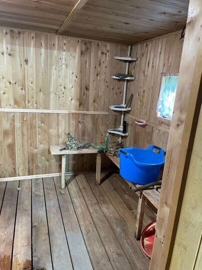 Дом 67 м² на участке 15 сот.