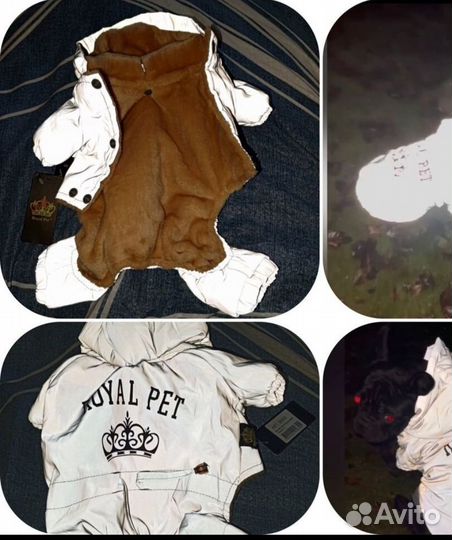 Комбинезон одежда для собаки XL светоотражающий