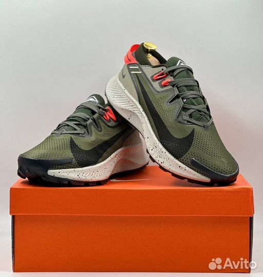 Кроссовки Nike Pegasus Trail 2 мужские