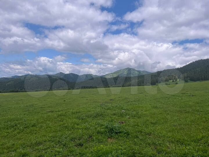 Участок 10,5 сот. (СНТ, ДНП)