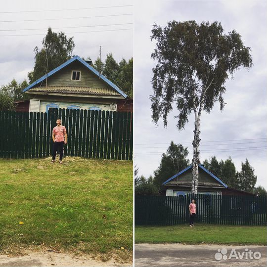 Спил деревьев частями (кронирование)