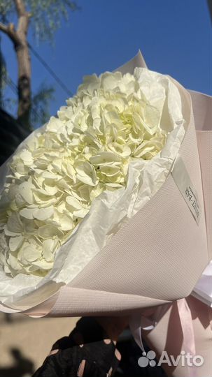 Букет гортензий