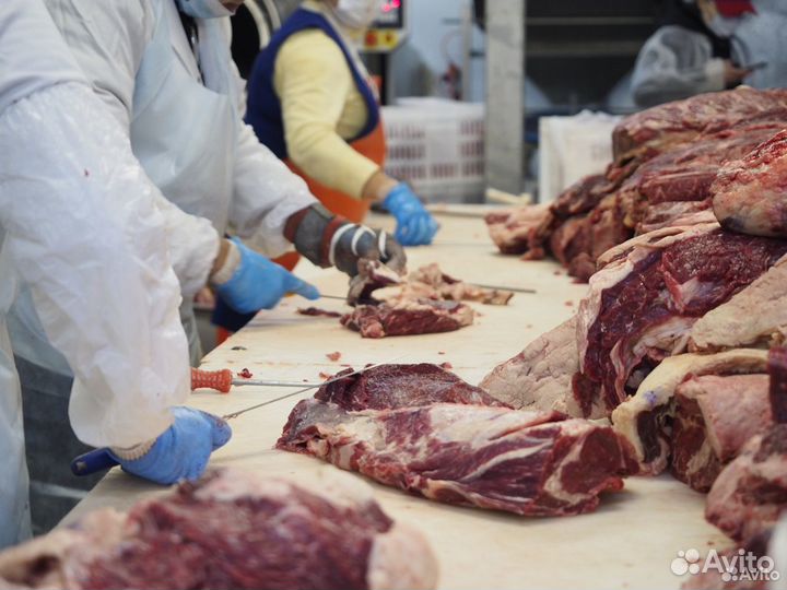 Готовый бизнес ищет займ, доход 34533 в месяц