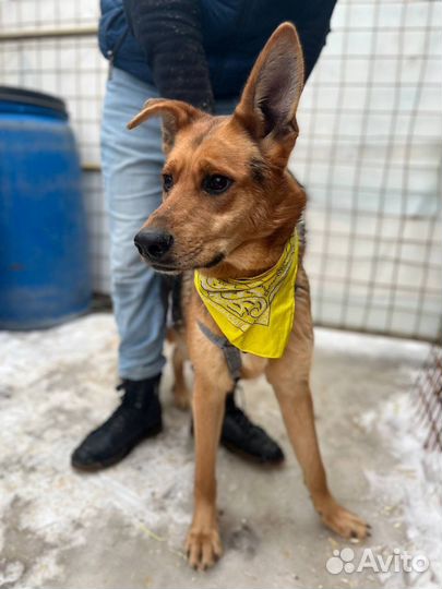 Симпатяга Брюс ждёт вас