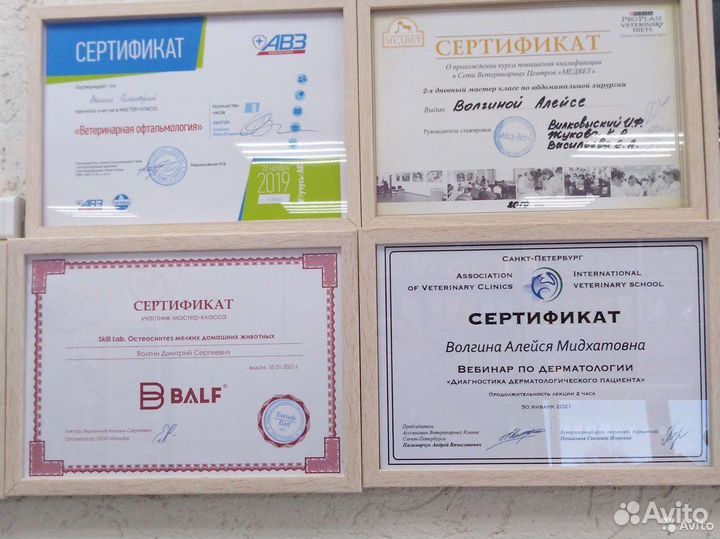 Ветеринарный врач