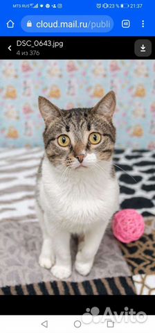 Крош ждёт свою любящую семью