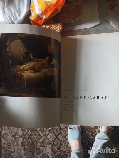 Книга Загадки Данаи