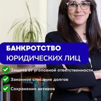Банкротство юридических лиц. Юрист, Софрино