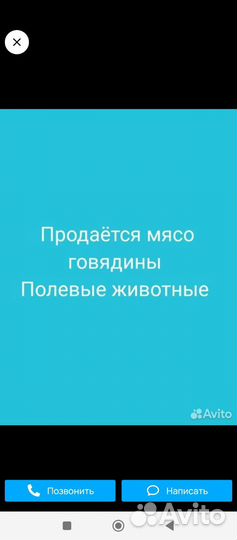 Мясо говядина