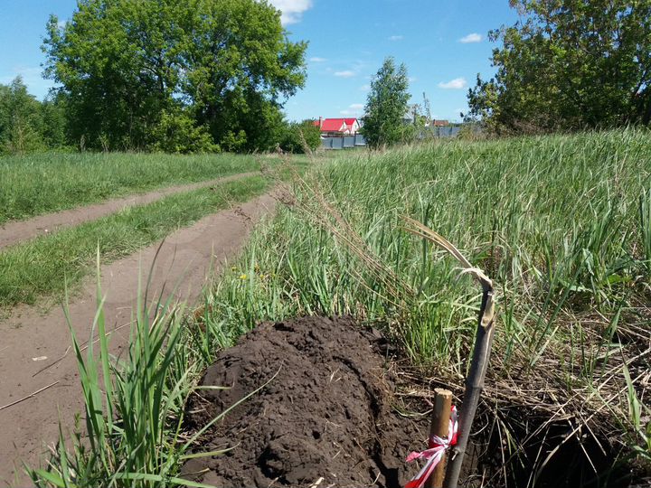 Участок 2,6 га (ИЖС)