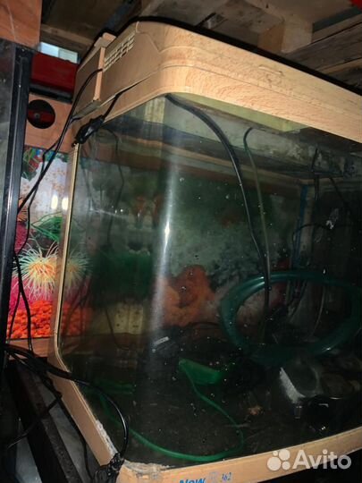 Аквариум 62/39/45 без станины 110л