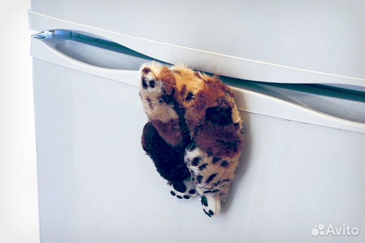 Магнит Застрявший кот в холодильнике