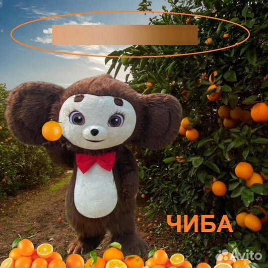 Аниматоры на ваше торжество