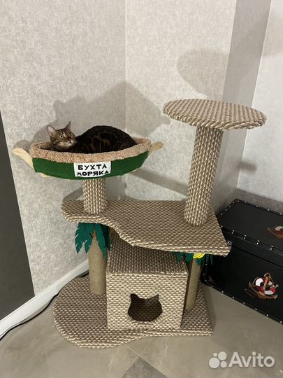 Когтеточка с домиком