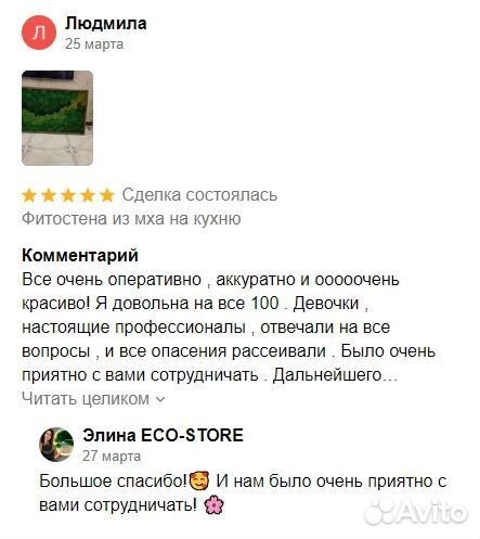 Композиция со мхом и растениями с белой подсветкой