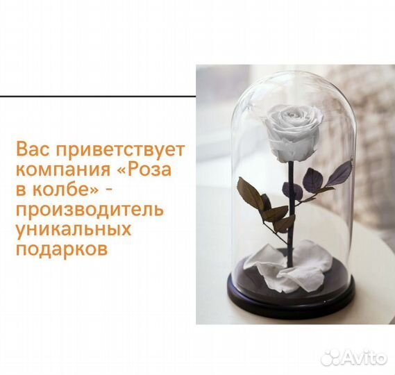 Роза в колбе. Оригинальный подарок
