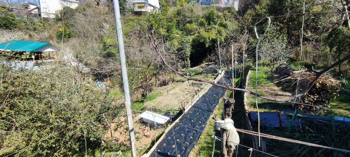 Участок 4 сот. (СНТ, ДНП)