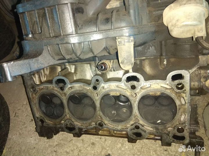 Двигатель на форд фокус 2 qqdb