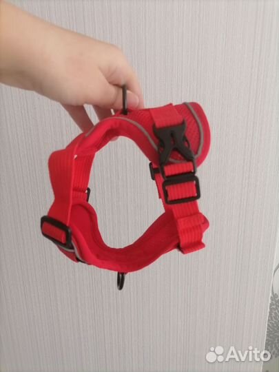 Шлейка для маленьких собак и поводок 1,5 метра