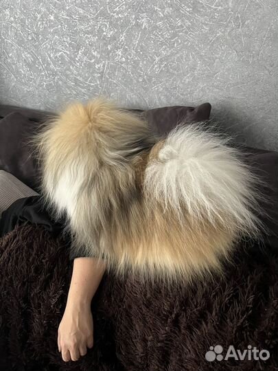 Померанский шпиц вязка кобель