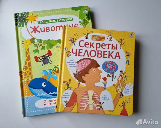 Детские книги с окошками, изд.Робинс