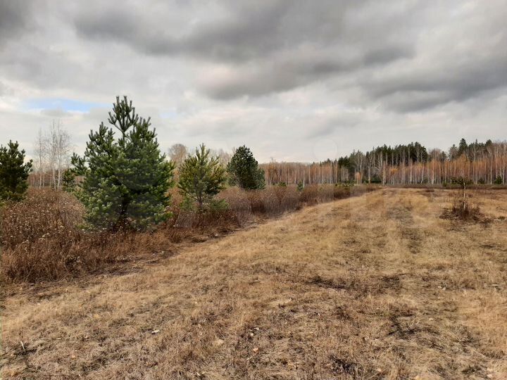 Участок 9,3 га (СНТ, ДНП)