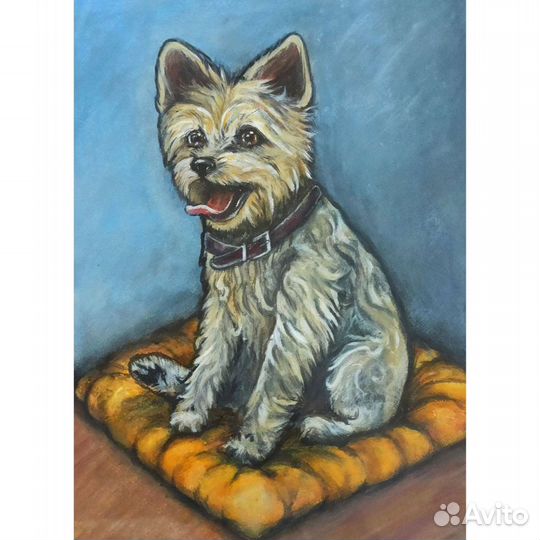 Картина собака 