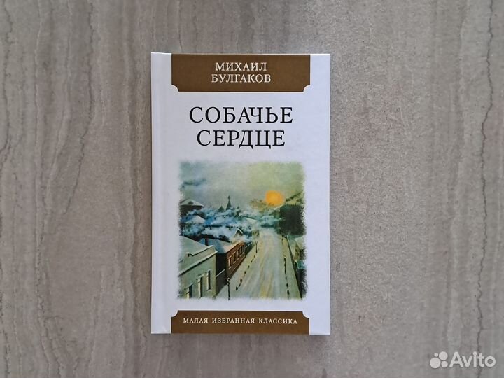 Школьная классика 5 книг для летнего чтения