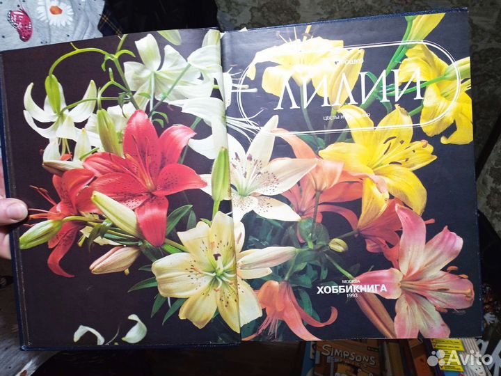 Книга Лилии издательства Хоббикнига