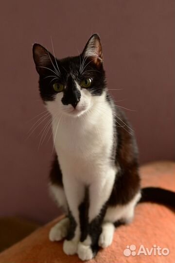 Мальчишки шалунишки