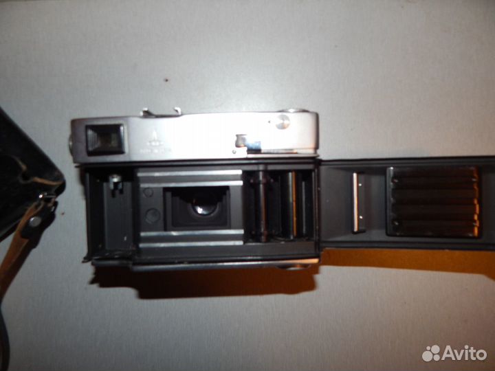 Фотовспышка чайка